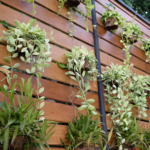 2019 landscaping trends every homeowner should know
