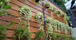 2019 landscaping trends every homeowner should know