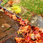 How to clean your gutters