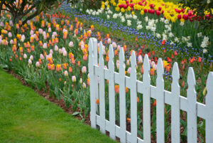 White picket fence on property