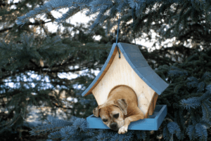 How to avoid common homebuyer mistakes