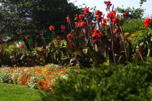 Edina MN Historical Society