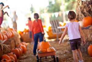 Top fall fun activities in Minnesota and western Wisconsin