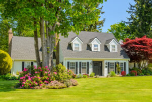 June 2025 Market Insights