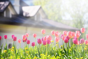 May 2024 Market Insights