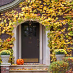 October 2025 Market Insights