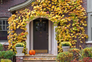 October 2025 Market Insights