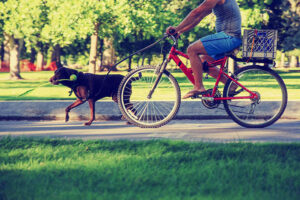 Minneapolis great for bicyclists
