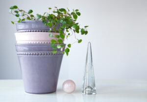 pantone 2016 color of the year