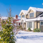 February 2026 Market Insights