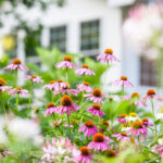 Market Insights June 2026