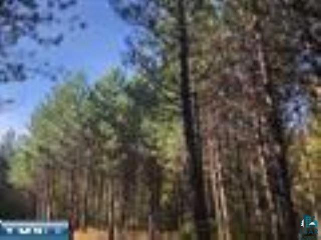 3997 Lost Lake Rd Gilbert MN 55741 6088291 image1