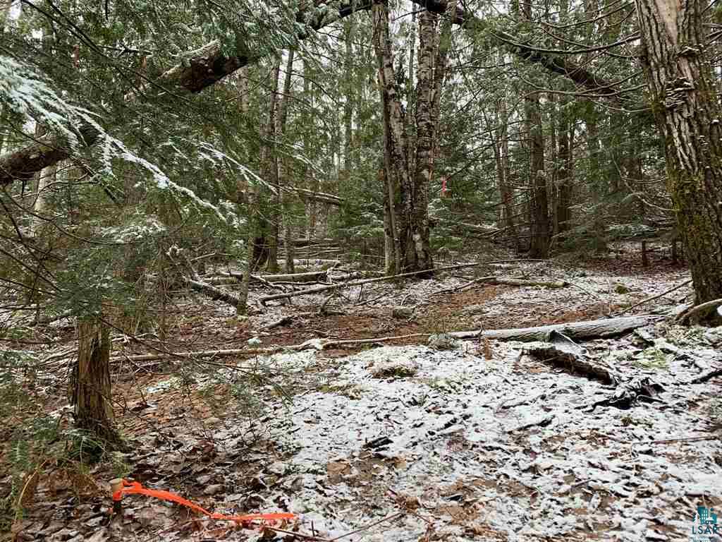 Lot 3 Blue Wing Bay Rd Bayfield WI 54814 6095565 image1