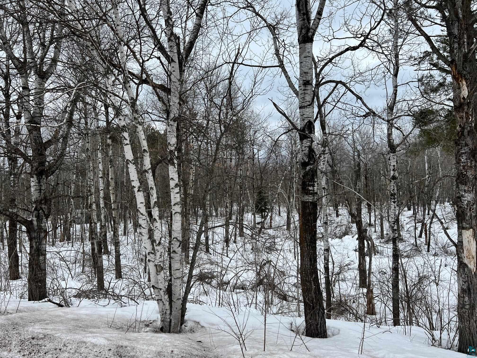 18xx County Rd 4 Carlton MN 55718 6107406 image2