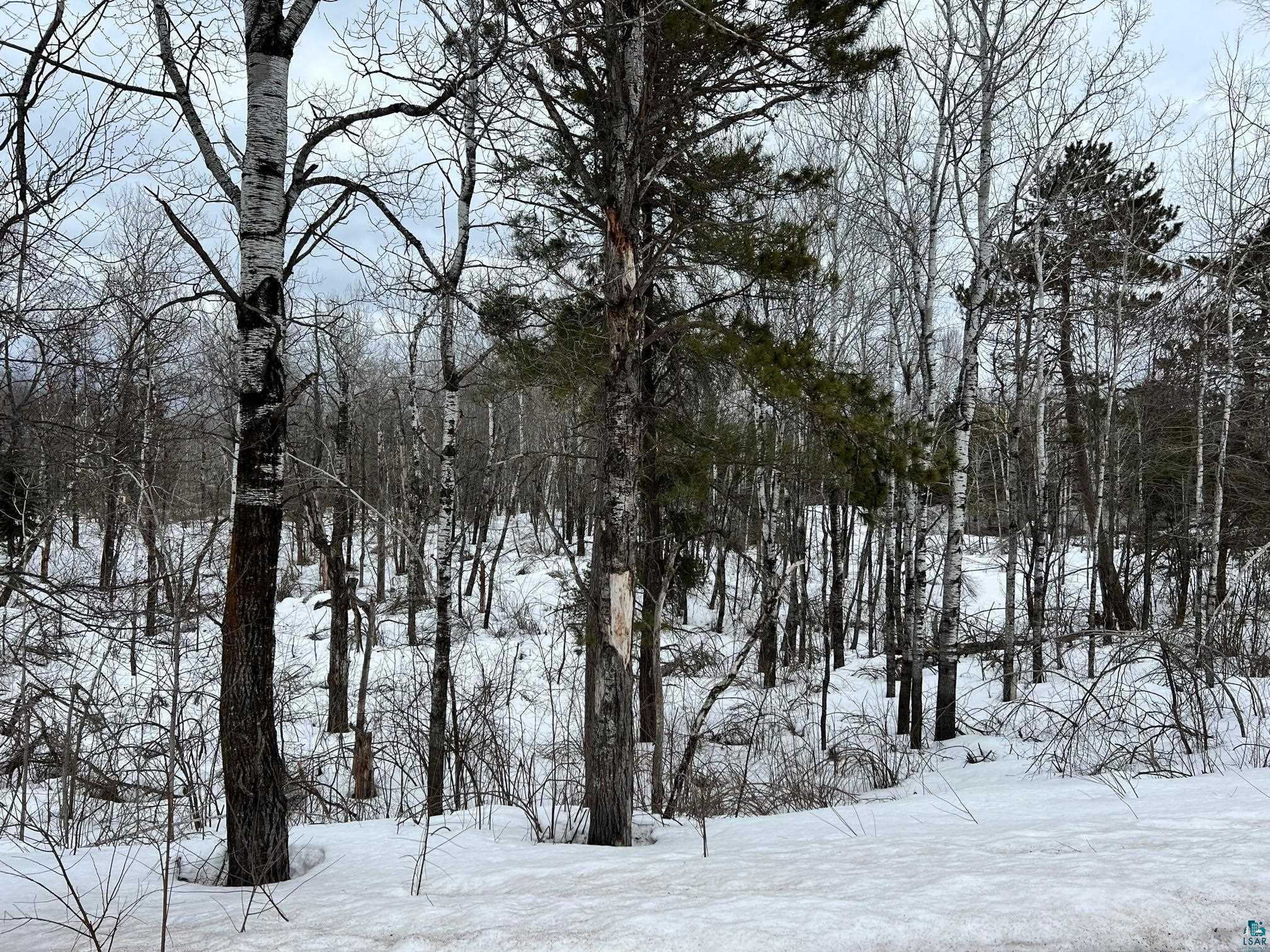 18xx County Rd 4 Carlton MN 55718 6107406 image3