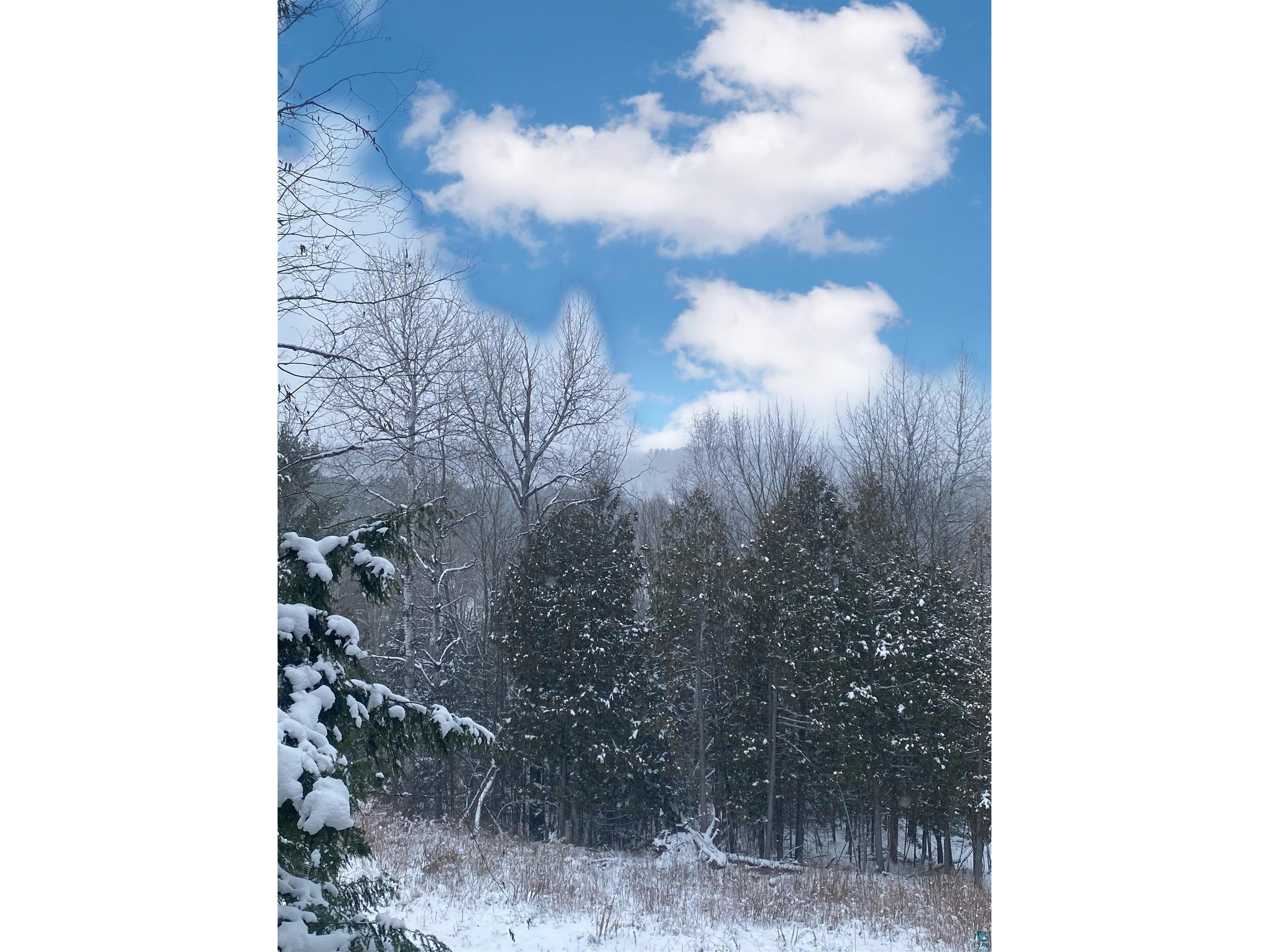 722 Thomas St Mellen WI 54546 6106379 image10