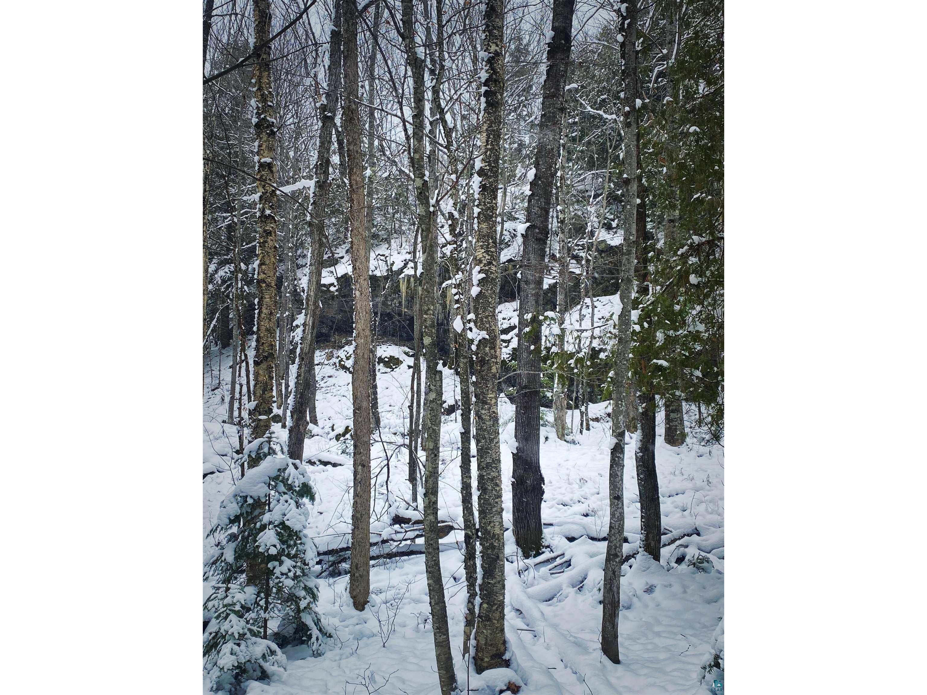 722 Thomas St Mellen WI 54546 6106379 image11
