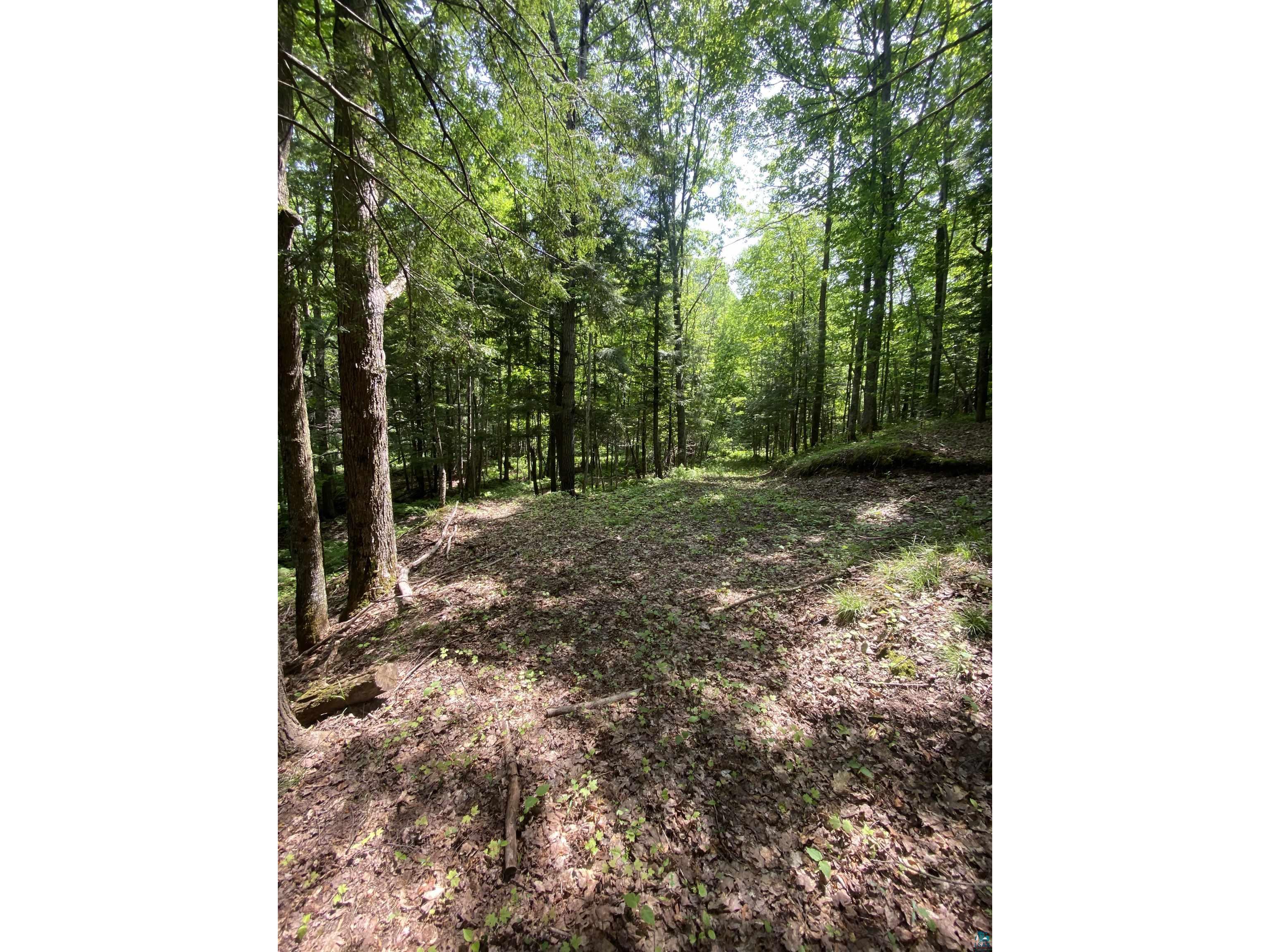722 Thomas St Mellen WI 54546 6106379 image7