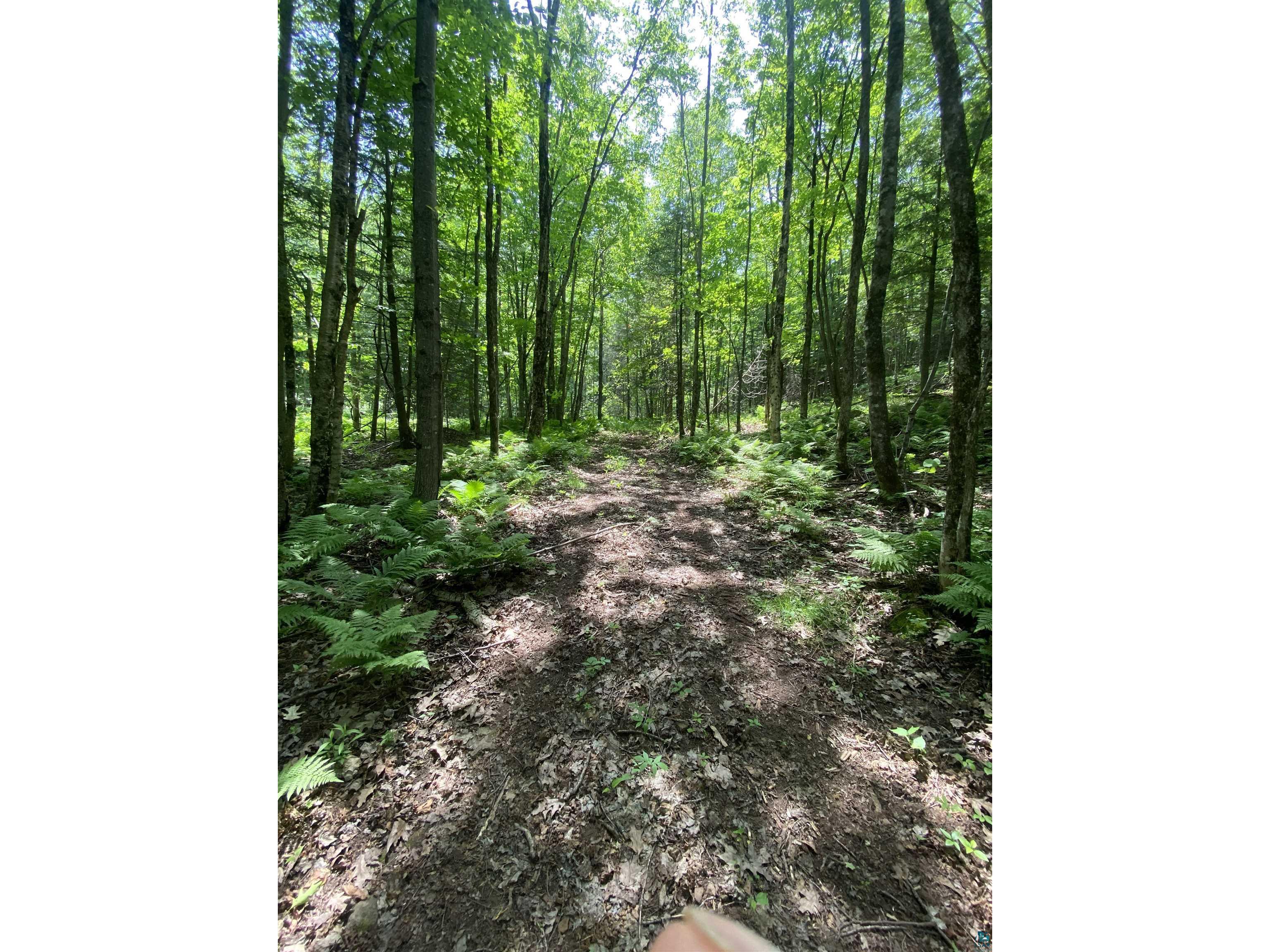 722 Thomas St Mellen WI 54546 6106379 image9