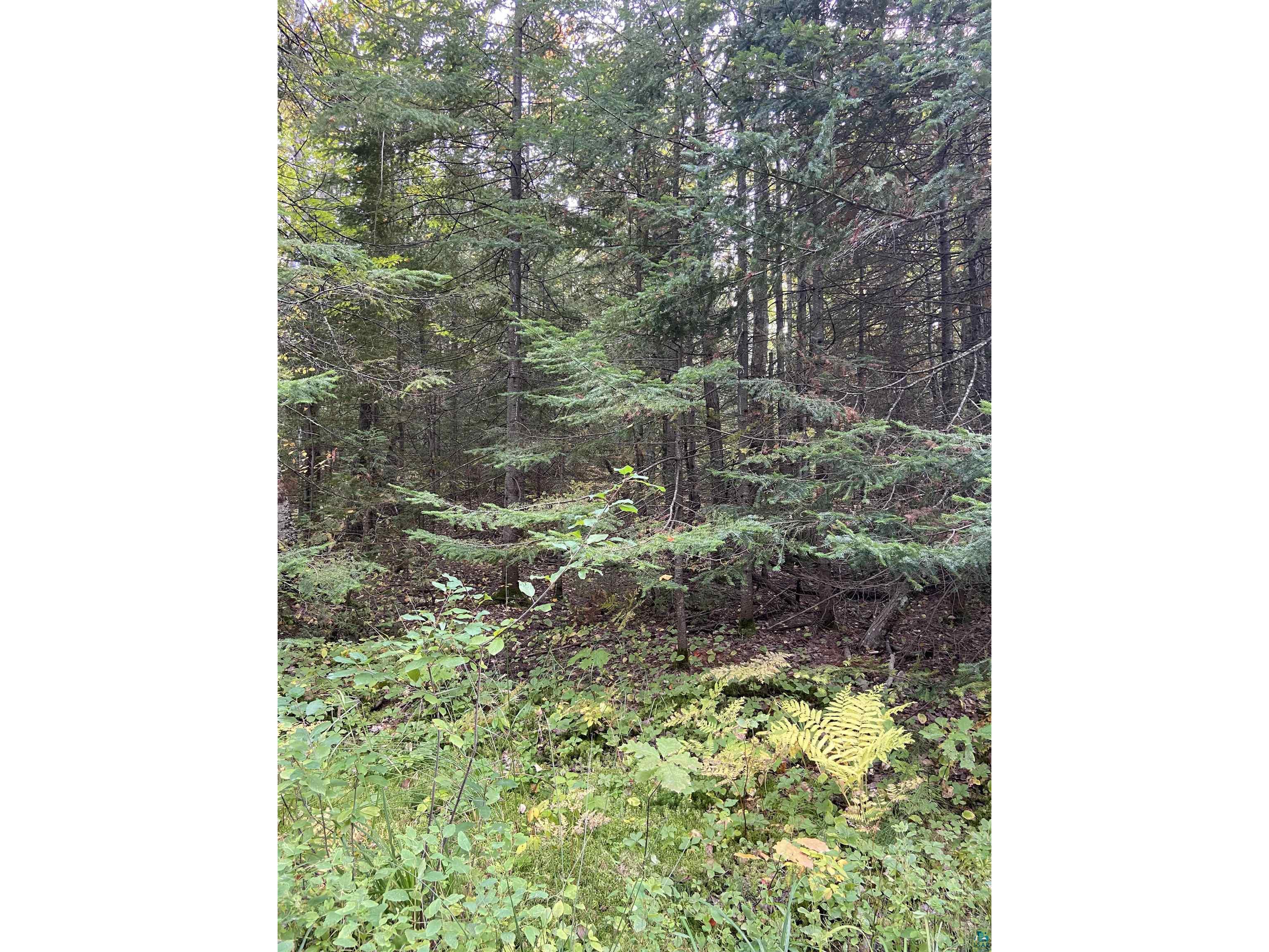 Lot 2 Blue Wing Bay Rd Bayfield WI 54814 6105791 image1