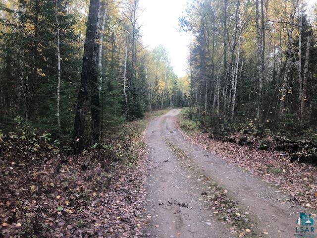 XXXX Hunter's Pass/Crooked Tr Tower MN 55790 6100193 image1