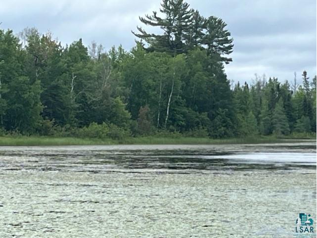 xxxx E Stone Lake Rd Zim MN 55738 - West Stone 6107119 image2