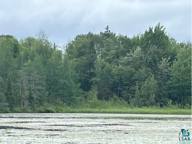 xxxx E Stone Lake Rd Zim MN 55738 - West Stone 6107119 image4