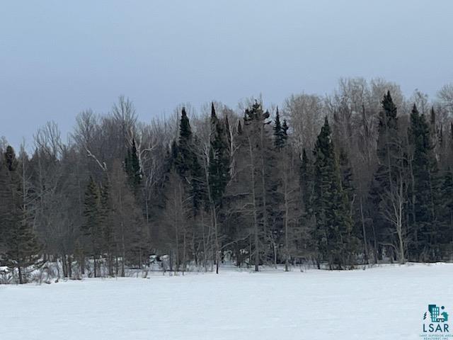 xxxx E Stone Lake Rd Zim MN 55738 - West Stone 6107119 image6