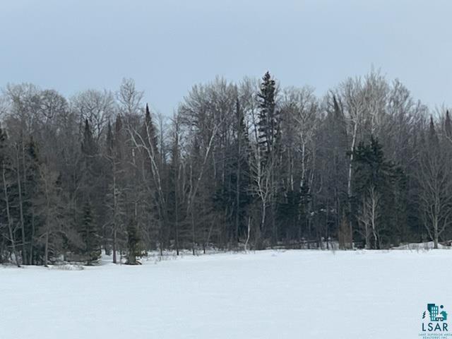 xxxx E Stone Lake Rd Zim MN 55738 - West Stone 6107119 image7