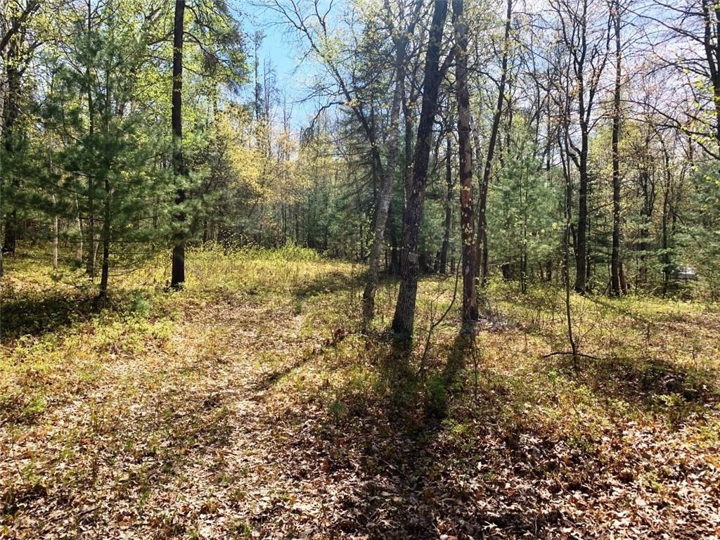 0 Eliot Johnson Road Danbury WI 54830 1564338 image1