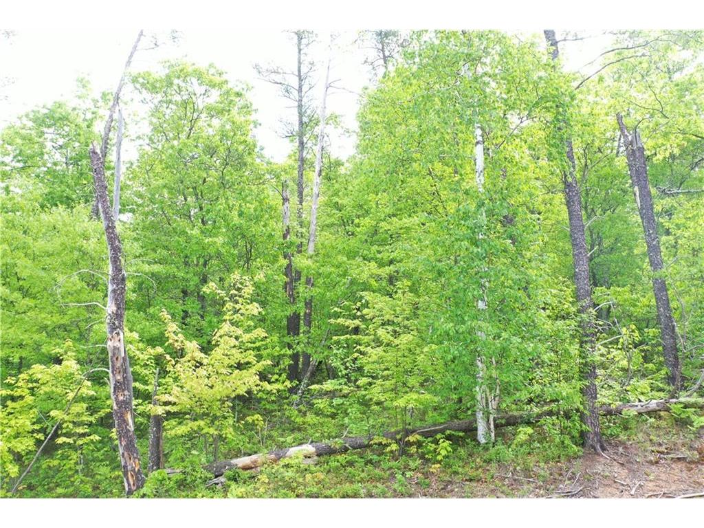 0 Otis Road Danbury WI 54830 1554094 image1