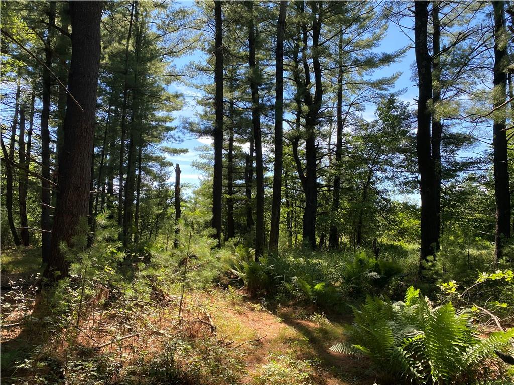 59 Ac N Center St Fairchild WI 54741 - McGaver Creek 1567497 image1