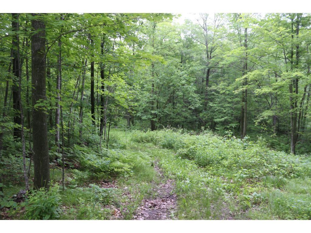 Lot 12 Eagle View Court Minong WI 54859 1562987 image1