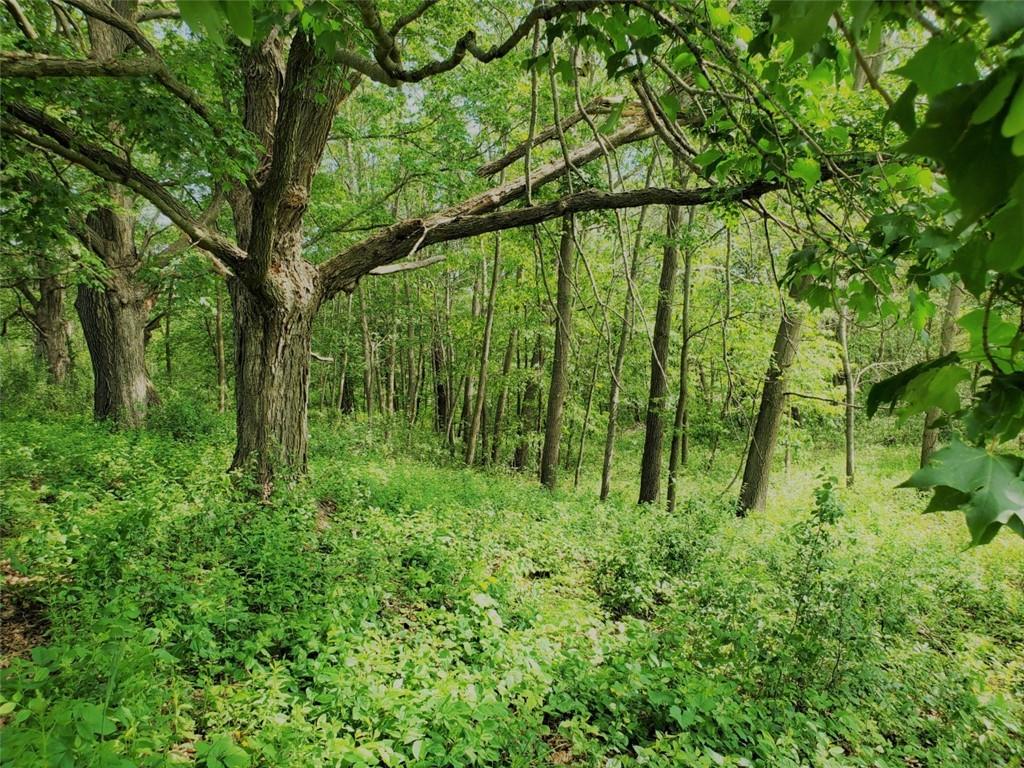 Lot 3 280th Avenue Luck WI 54853 1566193 image1