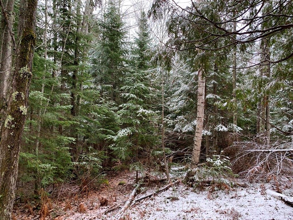 Lot 3 Blue Wing Bay Road Bayfield WI 54814 1551698 image1