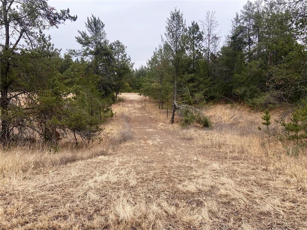 Lot 35 & 36 Overland Circle Danbury WI 54830 1579971 image1