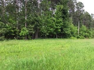 Lot 4 Smith Road Webster WI 54893 1565584 image1
