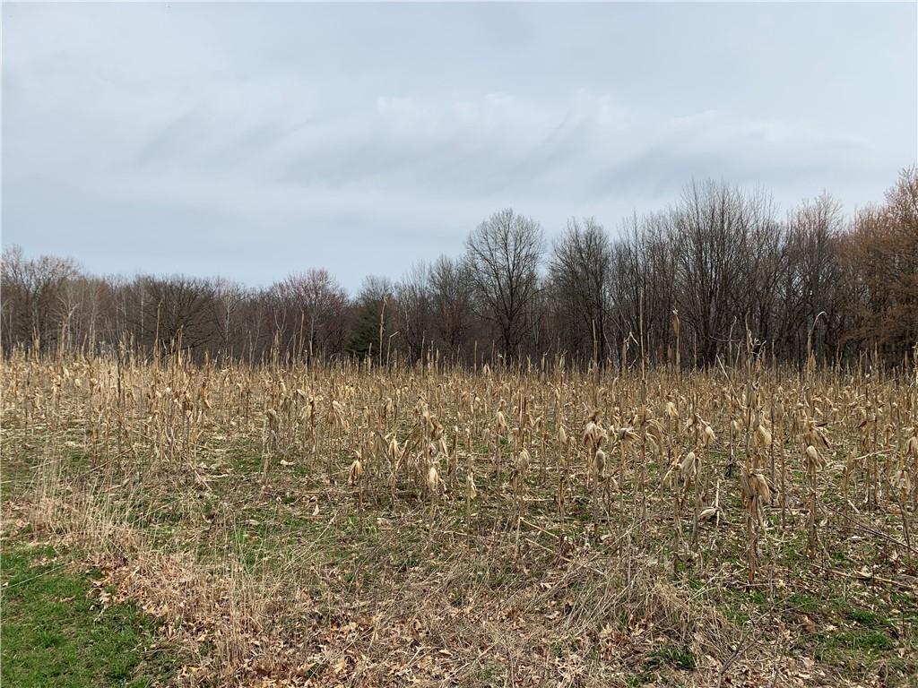 Lot 6 105th Avenue Cadott WI 54727 1563782 image1