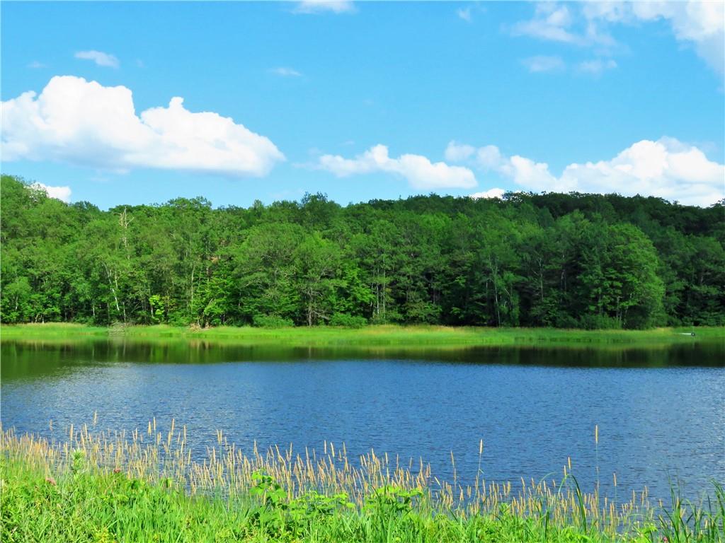 Lot 9 N. Sedar Trail Barronett WI 54813 - Lake Thirty Two 1566578 image1