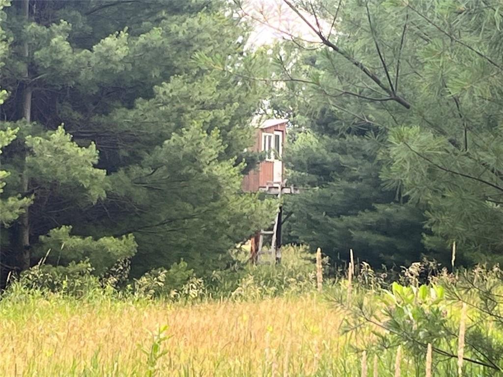 XXX N Fork Drive Grantsburg WI 54840 1566548 image1