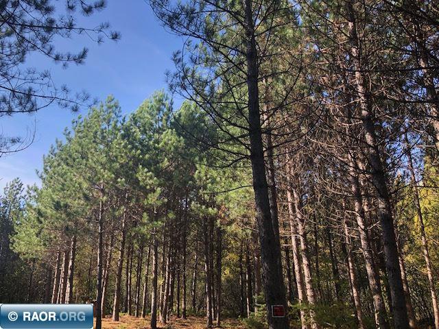 3997 Lost Lake Road Gilbert MN 55741 138449 image1