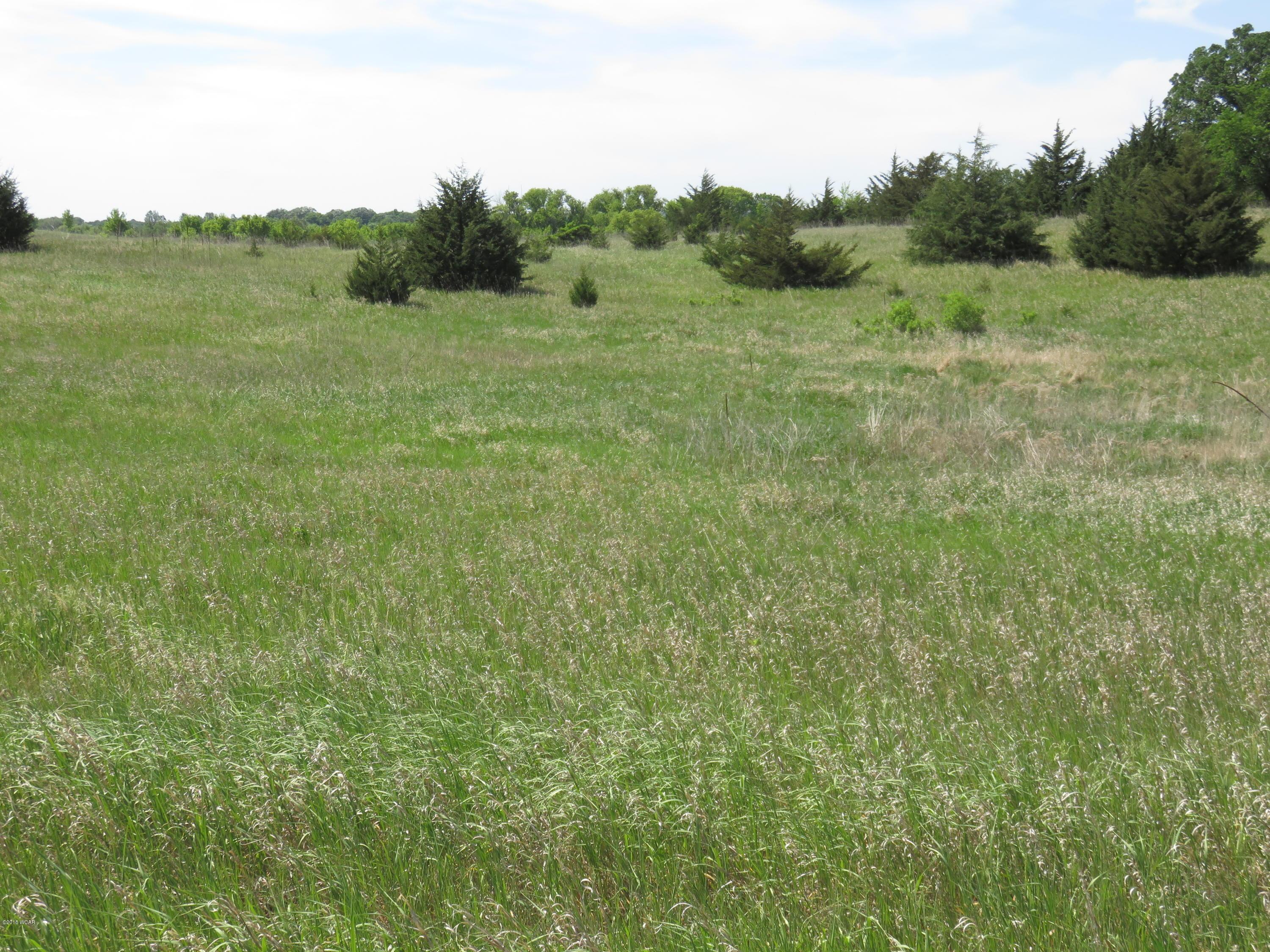 - Co Rd 9 New London MN 56273 5154198 image1