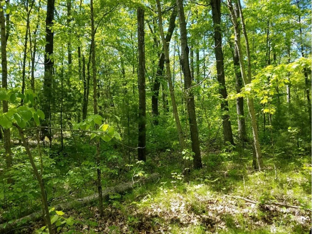 0 (Lot 2) 27th Avenue Cumberland WI 54829 5609523 image1