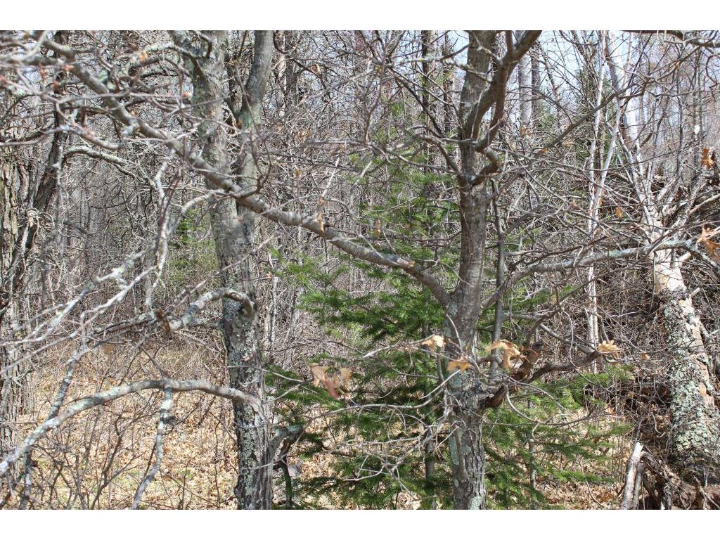 0 Pansy Landing Road Danbury WI 54830 5633427 image1