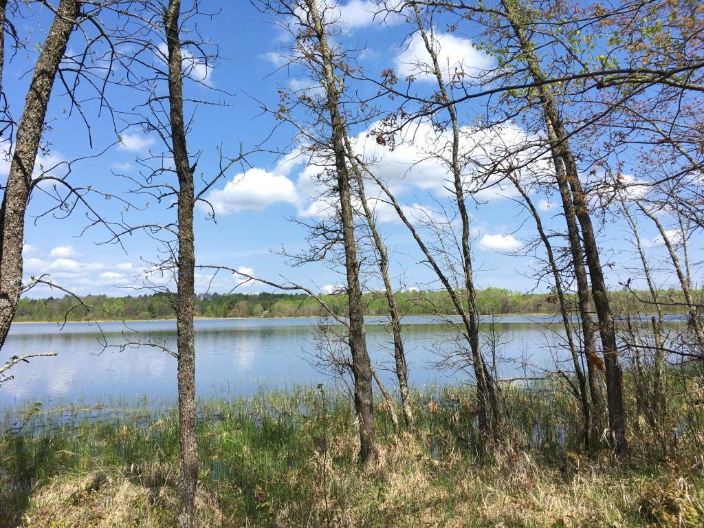 000 Horseshoe Lane Hackensack MN 56452 - Horseshoe Lake 5558980 image1