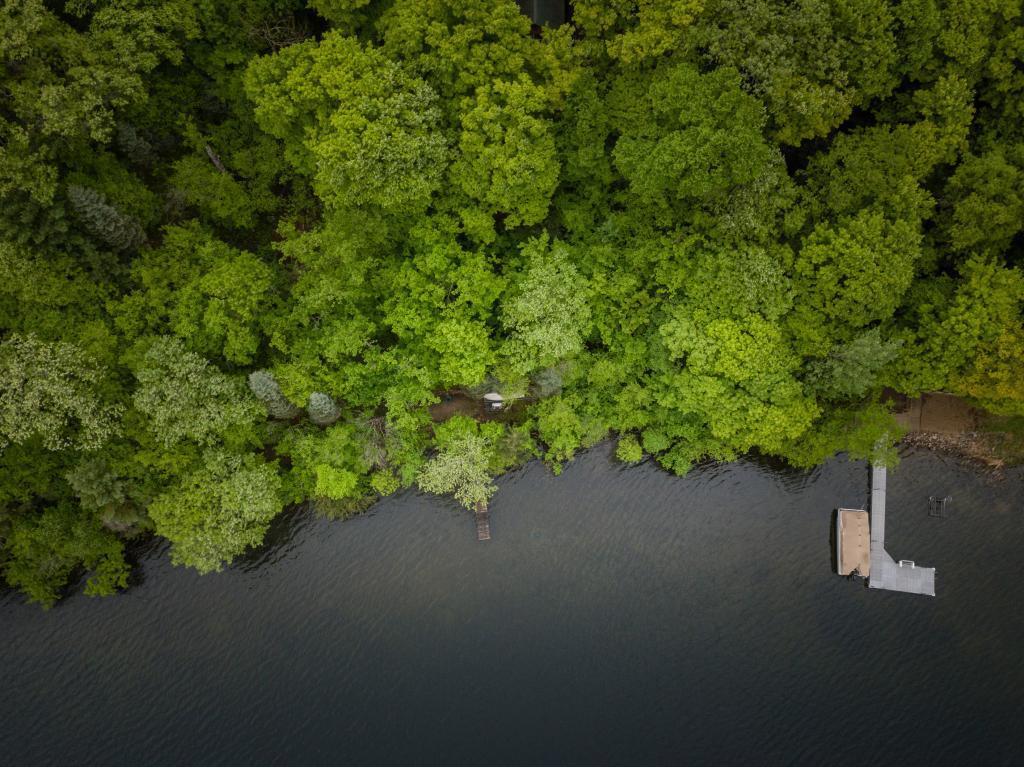 10105 Amigo Trail Grey Eagle MN 56336 - Little Birch Lake 5575168 image1