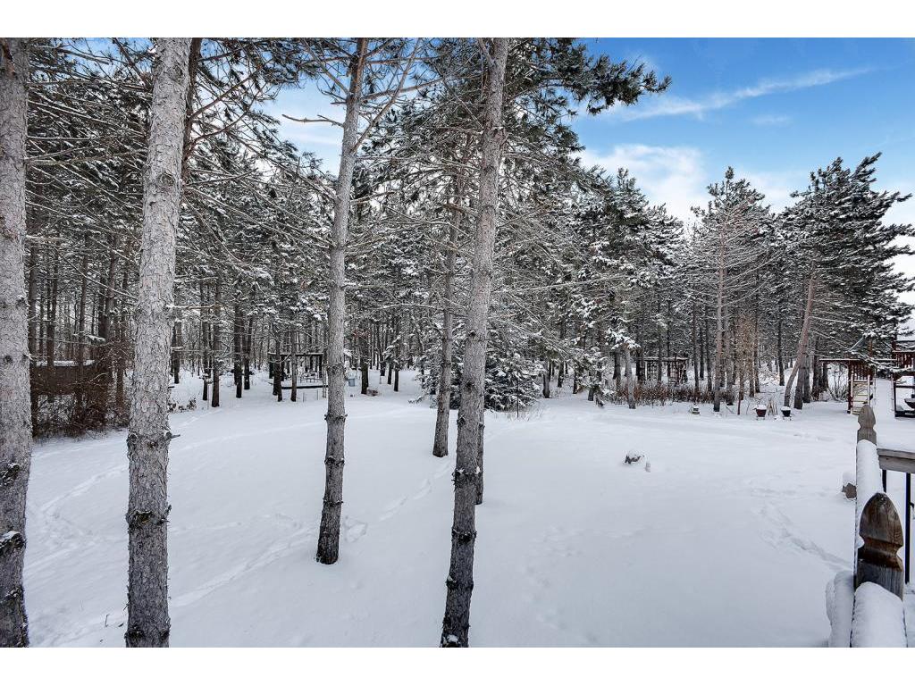 10147 James Avenue NE Otsego MN 55362 - Mississippi 5277858 image1