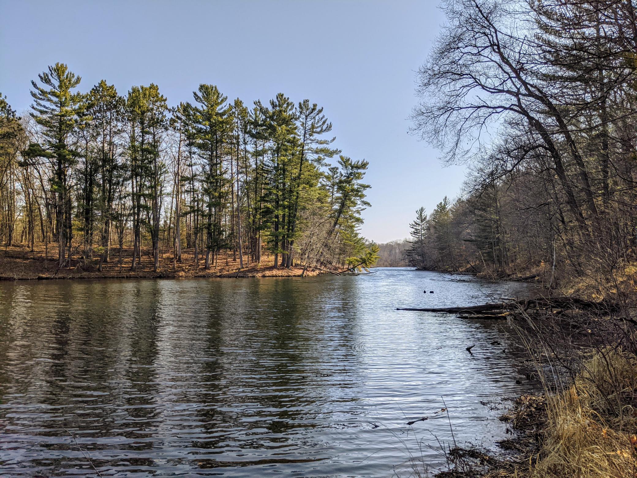 103 (Lot 9) 103rd S Clam Falls WI 54837 - Knapp Flowage 5766391 image1