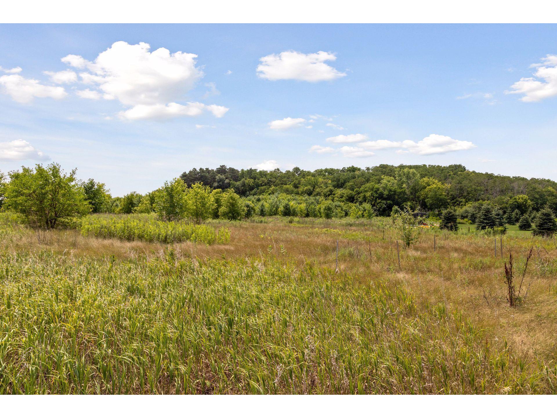12455 Meadow Bluff Trail Afton MN 55001 6030053 image1