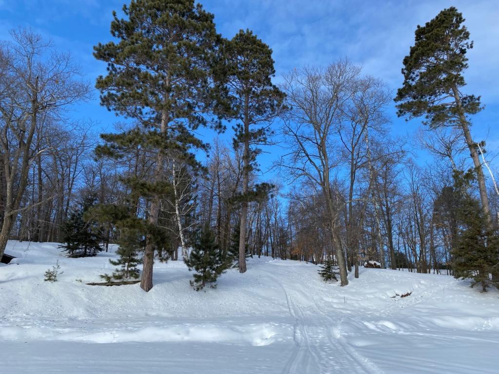12903 Cool Haven Lane Crosslake MN 56442 - Island-Loon 5483260 image1